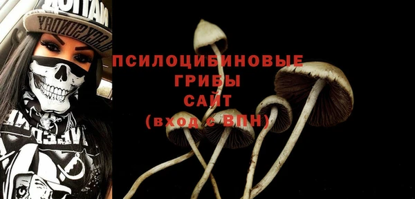 a pvp Дмитров