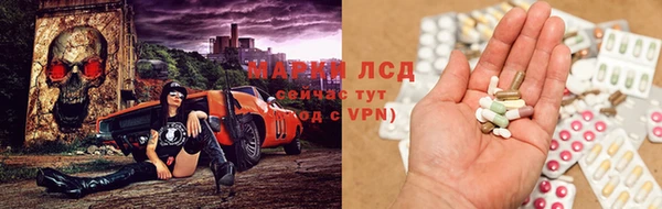 a pvp Дмитров