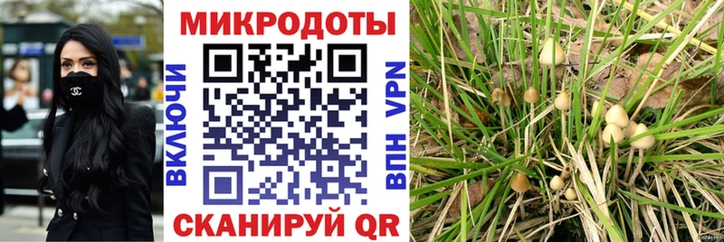 закладки Химки Галлюциногенные грибы Cubensis